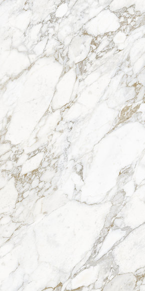 Arabescato Oro Book Match