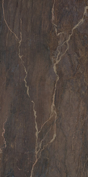Bronzite