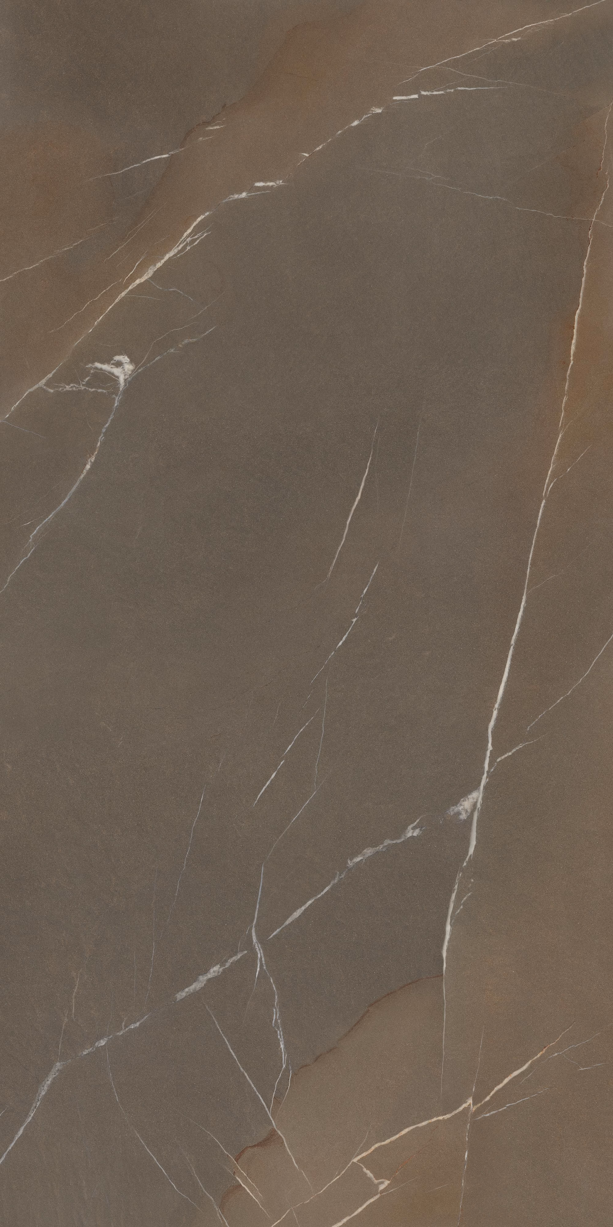PIETRA PIASENTINA TAUPE (FIAM)
