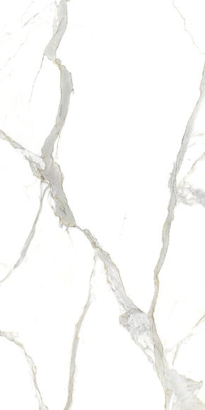 Polished Thumbnail - 15