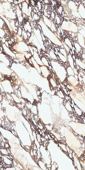 Natural Thumbnail - 2