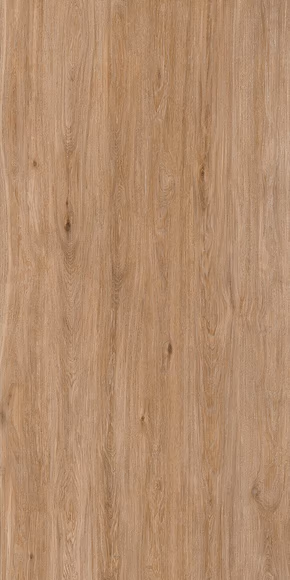 Sugi