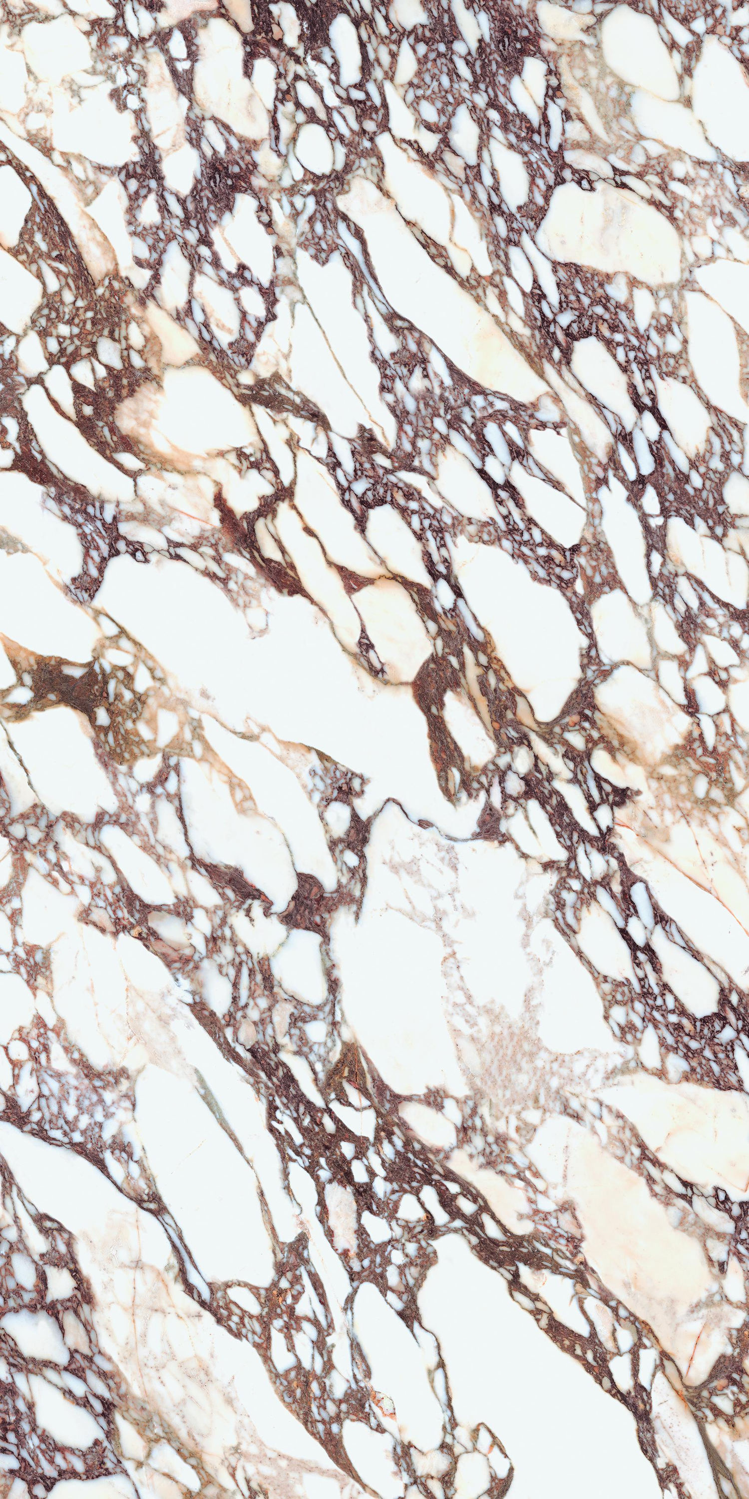 Laminam Calacatta Viola Book Match