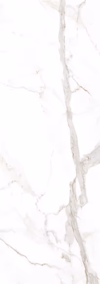 Calacatta Oro Venato slab