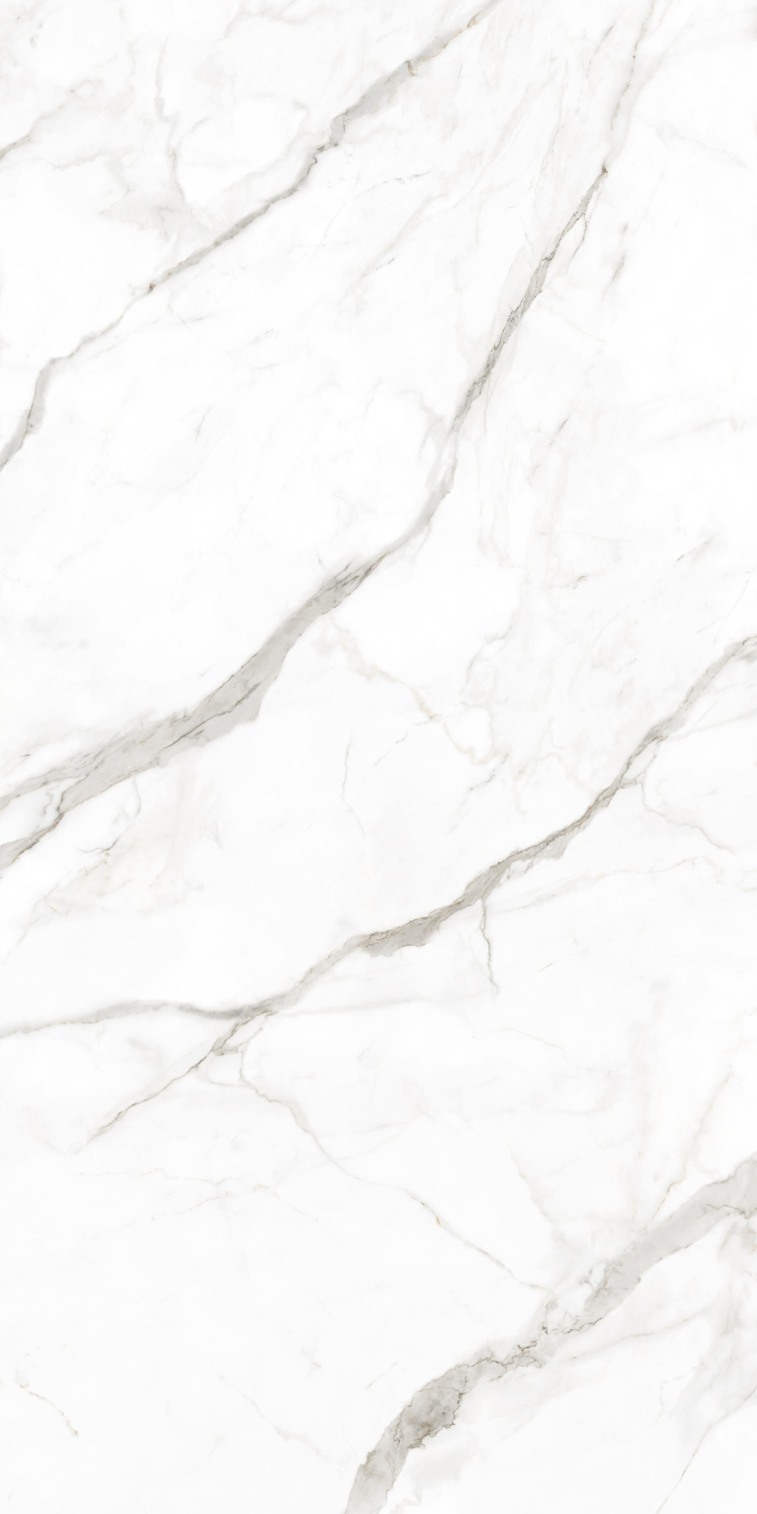 Laminam Calacatta Oro Venato Book Match